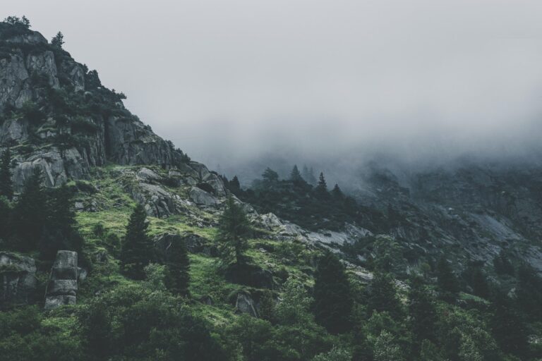 A mountain with trees and fog in the background.