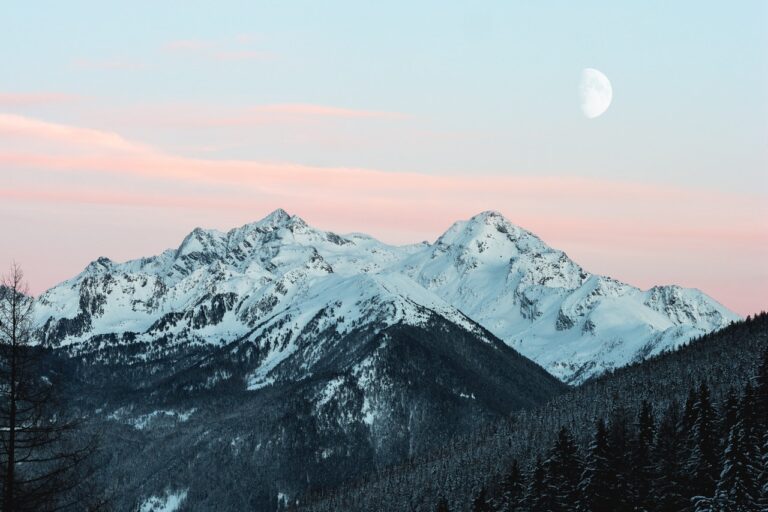 A mountain range with snow on top and trees in the background.