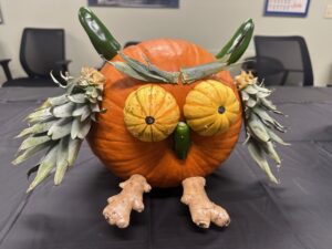 Owl pumpkin